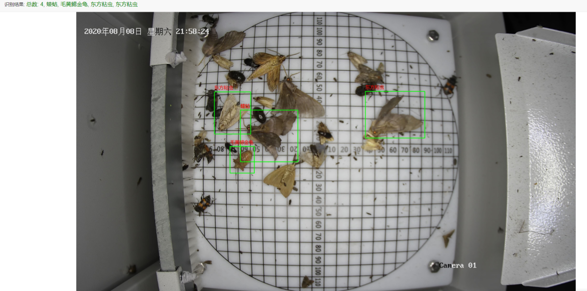 1619772562603969.png 圖片6.png