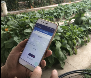 1636078799682498.png 圖片19.png