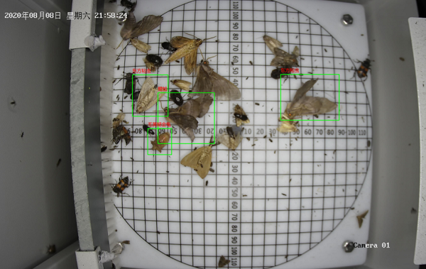 蟲情測報燈圖片1 蟲情測報燈圖片1