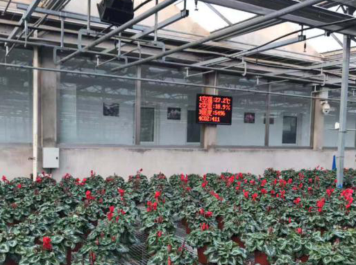溫室大棚氣象站圖片2 溫室大棚氣象站圖片2