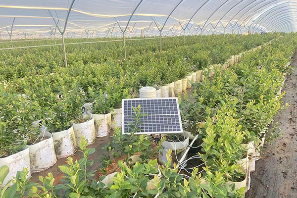 智慧農(nóng)業(yè)圖片2 智慧農(nóng)業(yè)圖片2