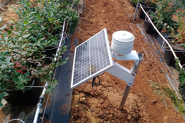 智慧果園氣象監(jiān)測(cè)設(shè)備圖片1