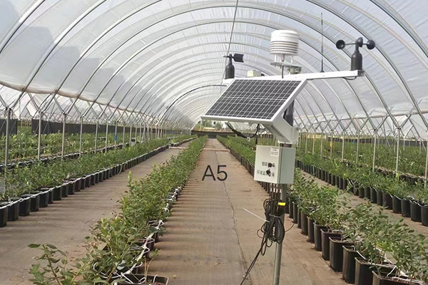 國產(chǎn)農(nóng)業(yè)氣象站圖片2