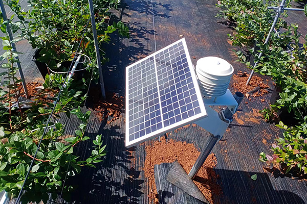 農(nóng)田小氣候自動(dòng)站圖片1