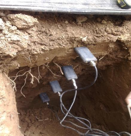 土壤墑情與旱情圖片2