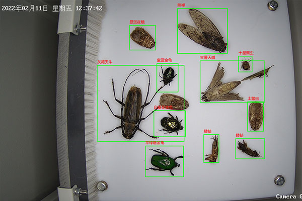蟲情測(cè)報(bào)設(shè)備圖片2 蟲情測(cè)報(bào)設(shè)備圖片2