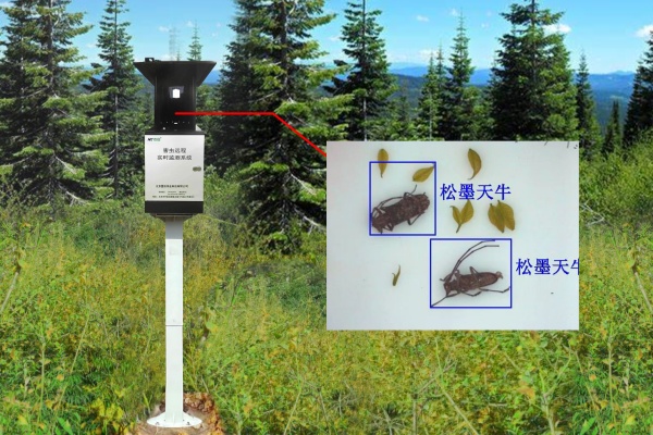 物聯(lián)網(wǎng)天牛智能監(jiān)測系統(tǒng)圖片1