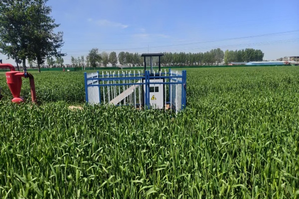 智慧蟲情監(jiān)測系統(tǒng)現(xiàn)場安裝圖片3