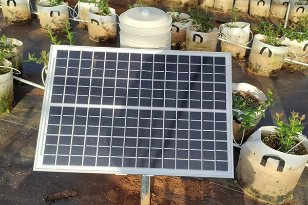 田間小氣候觀測儀圖片3