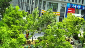 1766040518908295.png 圖片.png