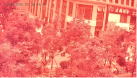 1766040544395173.png 圖片.png