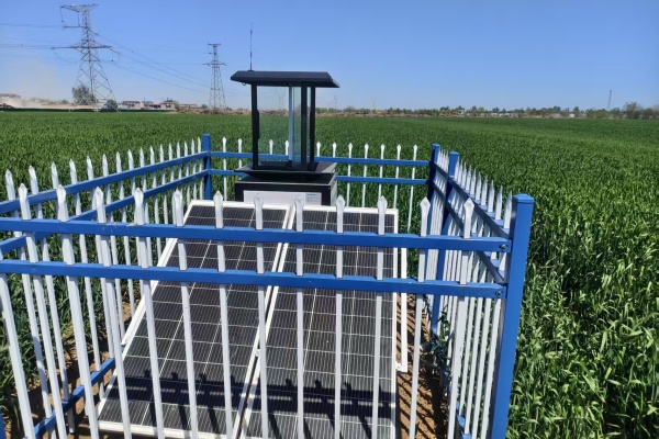 蟲情測報(bào)燈圖片1