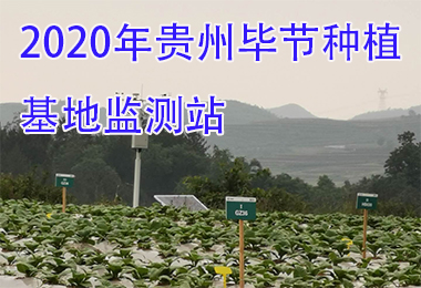 2020年貴州畢節(jié)種植基地監(jiān)測站